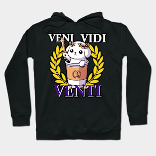 Veni Vidi Venti Hoodie